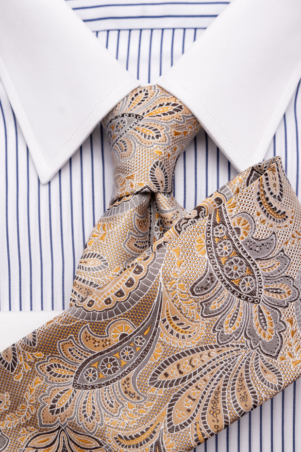 Tie with paisley in champagne